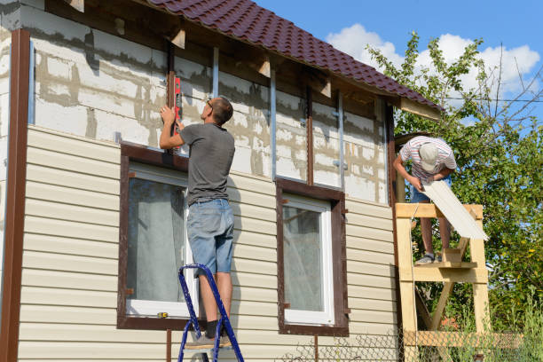 Best Stucco Siding  in Dilkon, AZ