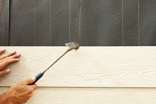 Best Engineered Wood Siding  in Dilkon, AZ